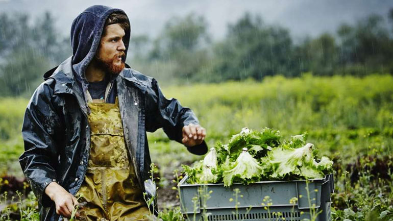 Με συνολικά 15.364 αιτήσεις και προϋπολογισμό 935 εκατ. ευρώ “έκλεισαν” τα Σχέδια Βελτίωσης