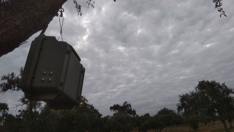 Πιλοτικό πρόγραμμα στη Ροδόπη: Το δάσος… ακούει και καταδίδει τους εισβολείς!