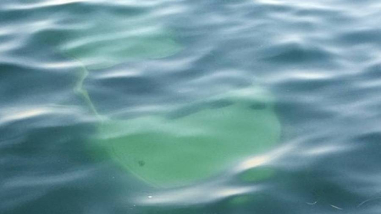 Θεσσαλονίκη: Όχημα έπεσε στον ΟΛΘ – Ένας τραυματίας