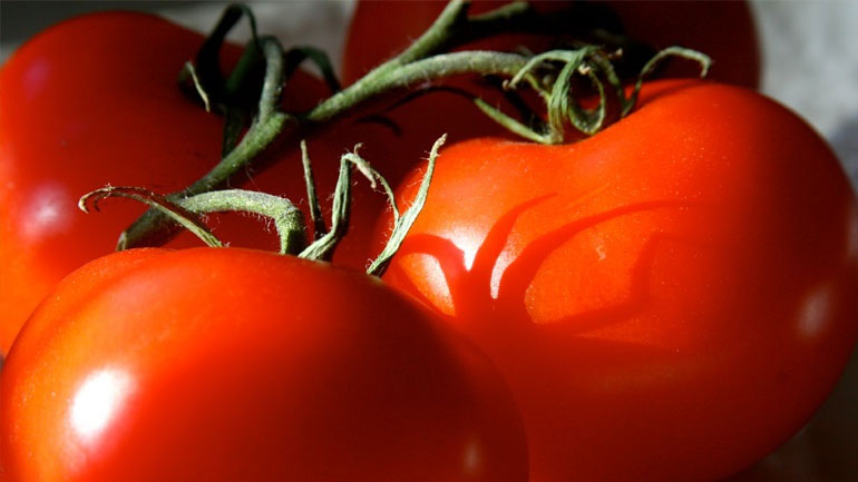 Δέσμευση 8 τόνων ντομάτας Πολωνίας σε επιχείρηση στου Ρέντη