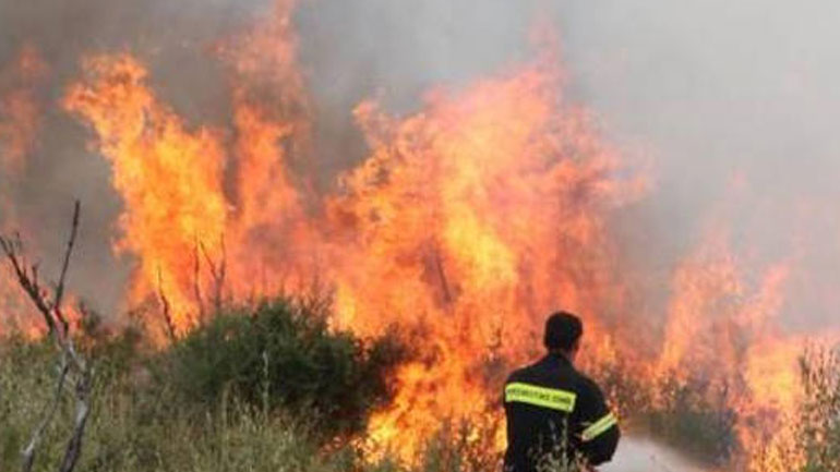 Υπό έλεγχο οι φωτιές σε Μουδανιά και Σίνδο