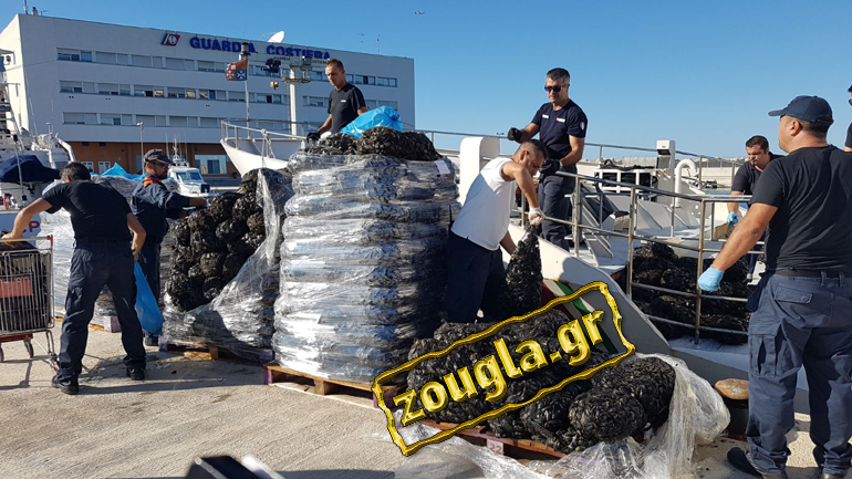 Συναγερμός στις Iταλικές Αρχές για μολυσμένα μύδια από την Ελλάδα