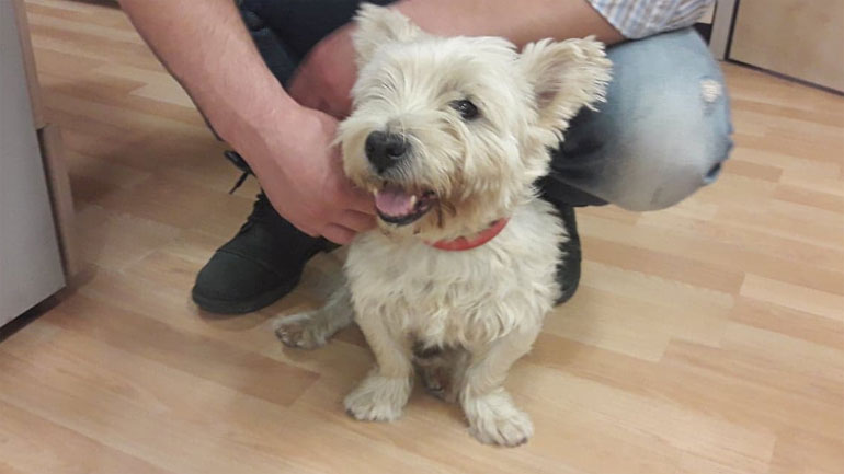 Ο Φάτσας γύρισε σπίτι του