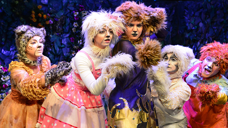 «Ο κήπος με τις 11 γάτες» στο Θέατρο Κνωσός