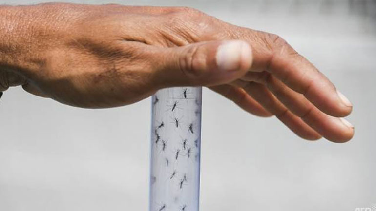 Ινδία: Έξαρση του ιού Ζίκα με 80 επιβεβαιωμένα κρούσματα