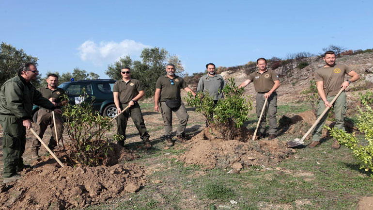 Δεύτερη δενδροφύτευση στα καμένα της Ι.Μ. Παντοκράτορος Ταώ (Νταού) Πεντέλης