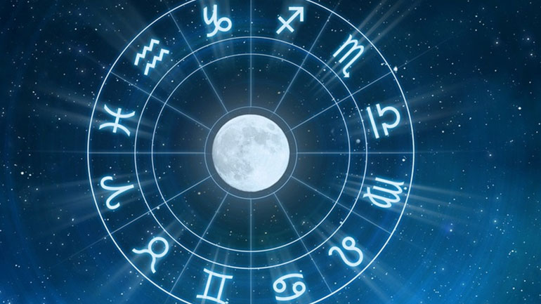 Πώς αντιδρούν τα ζώδια όταν βρίσκονται σε δίλημμα