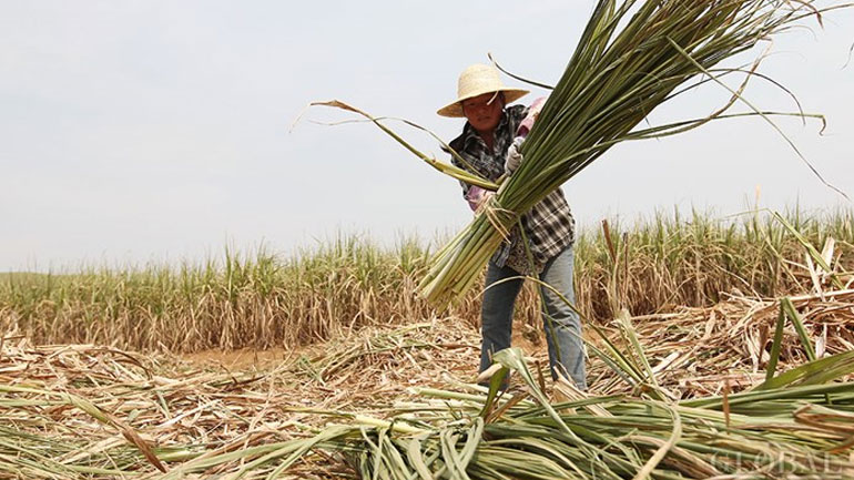 Η απάντηση της Κίνας στη Βραζιλία: Εναρμονισμένα με τον νόμο τα μέτρα για την εισαγωγή ζάχαρης