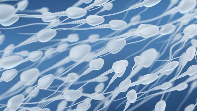 Ελαττωματική η μελέτη που συνέδεσε το μέγεθος του πέους με τη γονιμότητα;