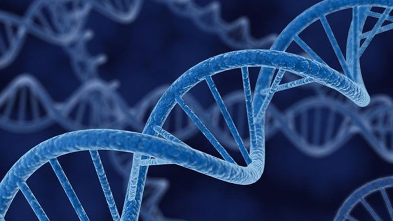 Νέα μελέτη: Τα γονίδια παίζουν σημαντικό ρόλο στο ποιος μαθητής θα μπει στο πανεπιστήμιο