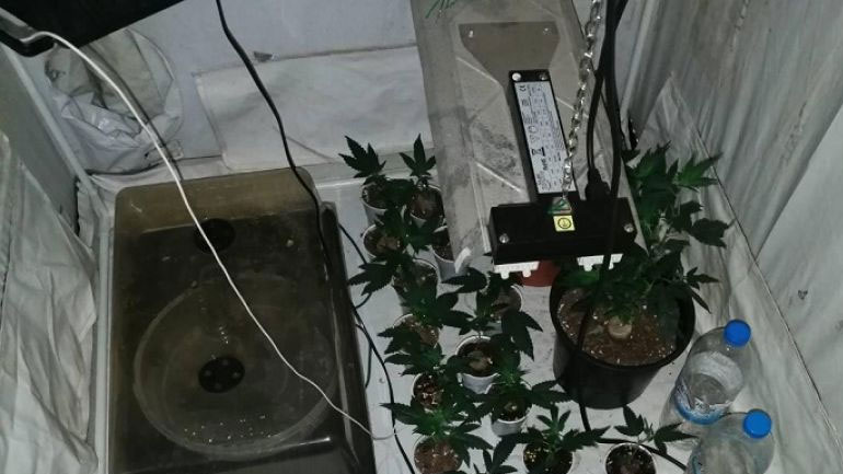 Είχαν στήσει εργαστήριο υδροπονικής κάνναβης σε σπίτι στις Συκιές Θεσσαλονίκης