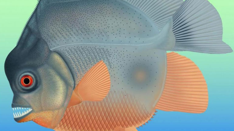 Ανακαλύφθηκε αρχαίο είδος πιράνχας στη Γερμανία