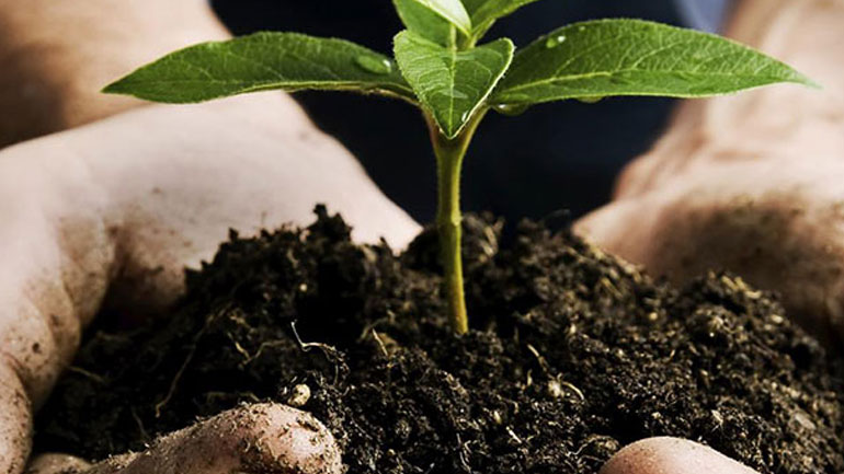 Η γυναικεία αγροτική επιχειρηματικότητα στο επίκεντρο του εθνικού και κοινοτικού σχεδιασμού