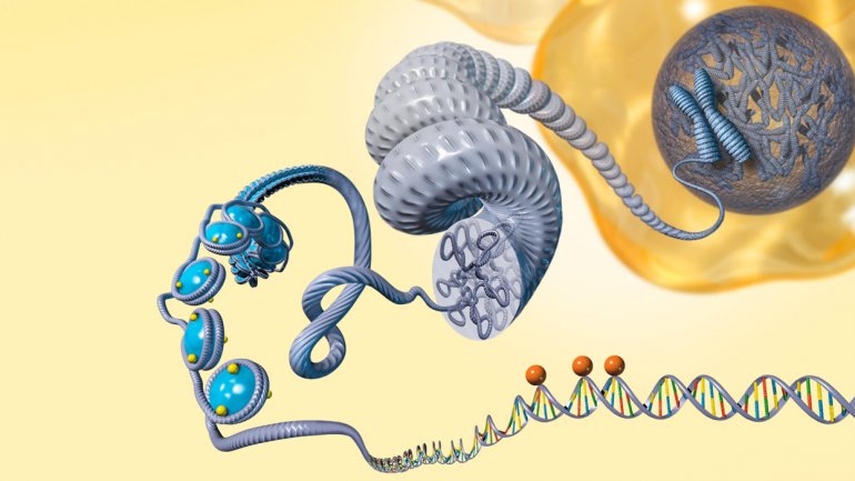 Οι εμπειρίες του πατέρα επηρεάζουν τους απογόνους του μέσω επιγενετικών πληροφοριών