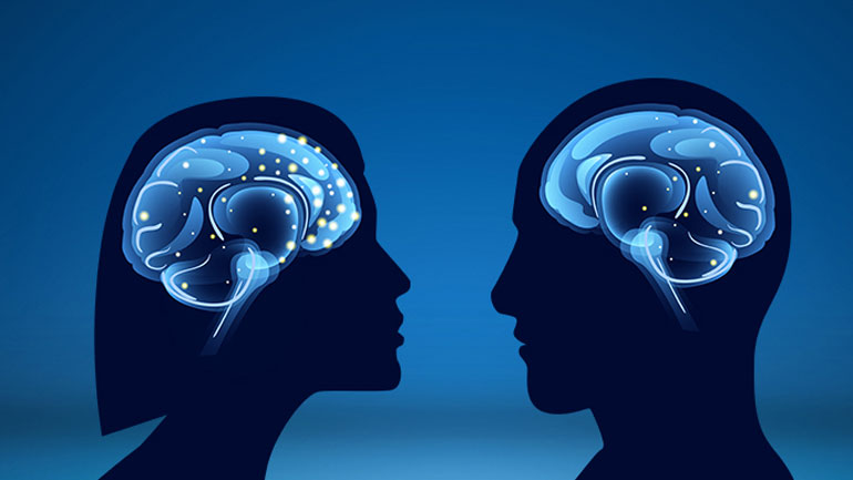 Το μέγεθος του εγκεφάλου δεν σχετίζεται με την ευφυΐα μας