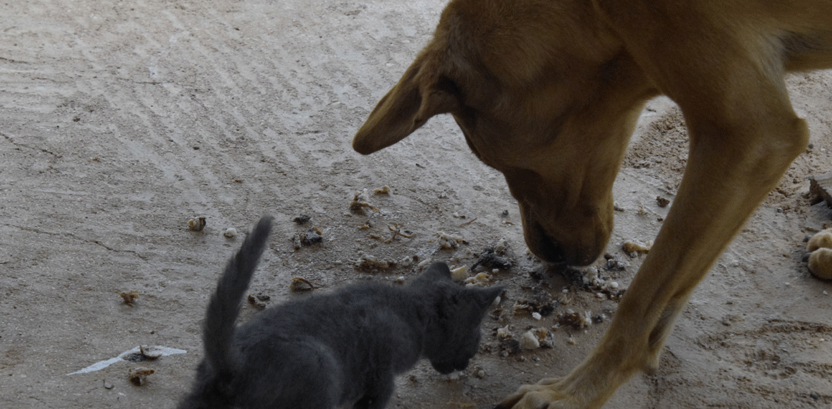Δεν έχουν να χωρίσουν τίποτα…