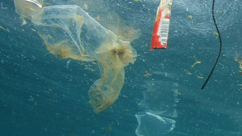 Το Ευρωκοινοβούλιο δραστηριοποιείται για τη μείωση των πλαστικών μιας χρήσης