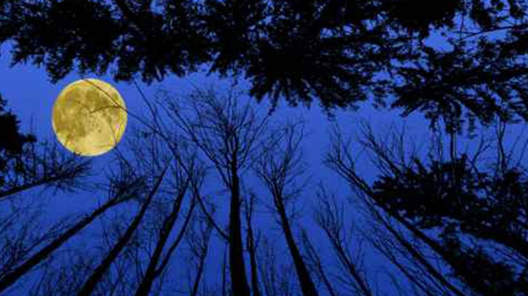 Πανσέληνος στον Ταύρο στις 24 Οκτωβρίου-Προβλέψεις για τα ζώδια