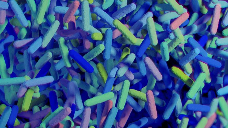 Πότε τα προβιοτικά μπορούν να κάνουν ζημιά στην υγεία μας