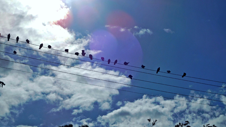 Ο καιρός σήμερα