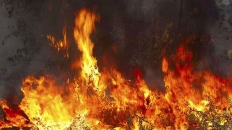 Πυρκαγιά σε χορτολιβαδική έκταση στην Ξυλόπολη Θεσσαλονίκης