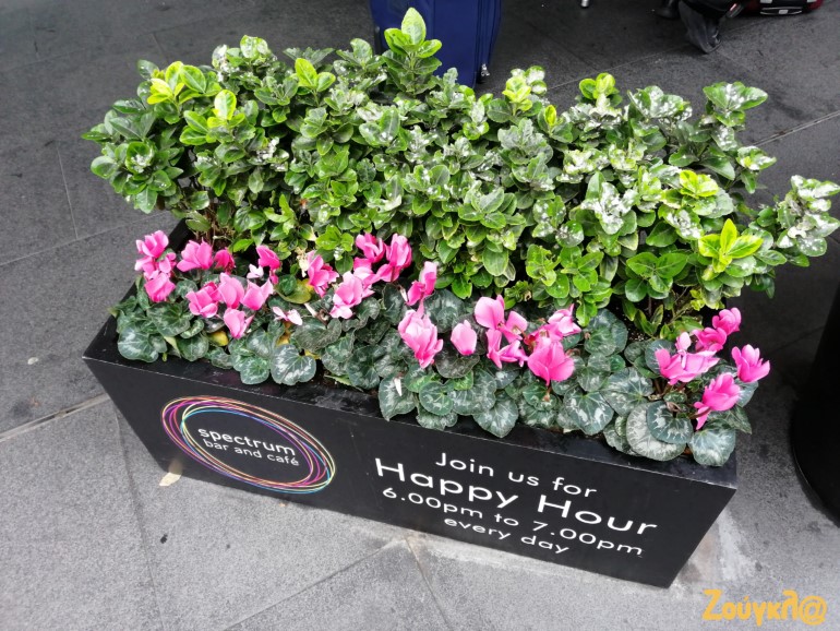 Δείγμα 5 (Πατήστε πάνω στη φωτογραφία)