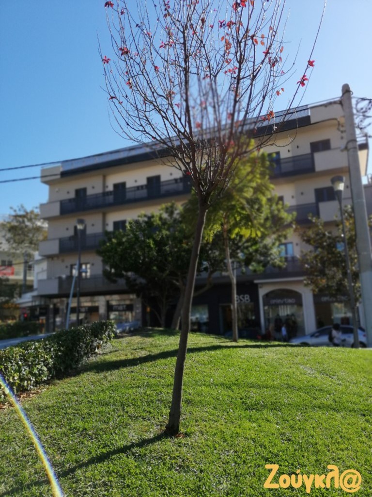 Δείγμα 6 (Πατήστε πάνω στη φωτογραφία)