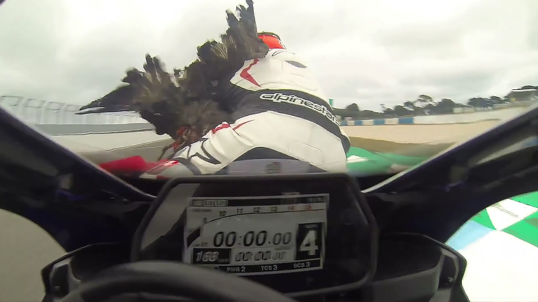 Πουλιά εναντίον.. αναβατών στο Phillip Island