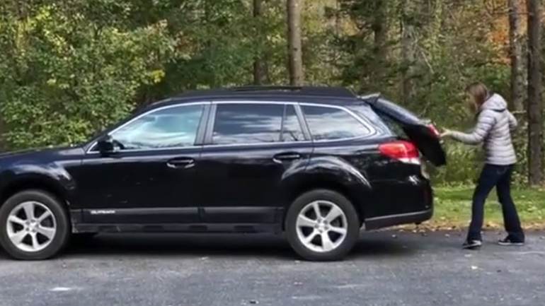 Ο σκύλος βιάζεται να βγει από το αυτοκίνητο