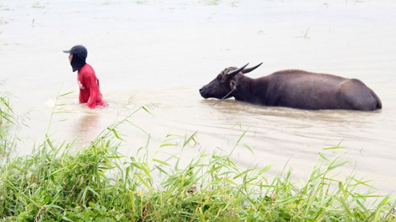 Φιλιππίνες: Τουλάχιστον 5 νεκροί από το πέρασμα του τυφώνα Γιούτου