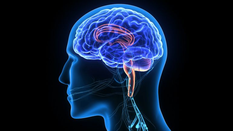 «Χακάρισμα» εγκεφάλων και κλοπές αναμνήσεων