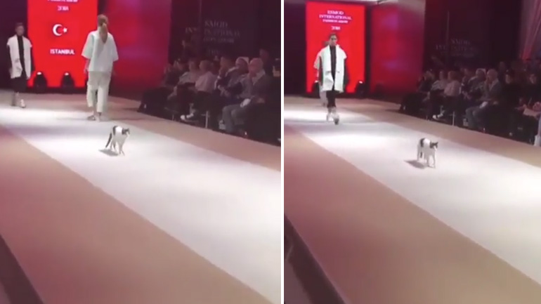 Ένα… αυθεντικό catwalk!