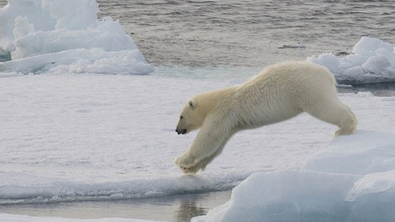 Η κλιματολογική κρίση στην επικαιρότητα