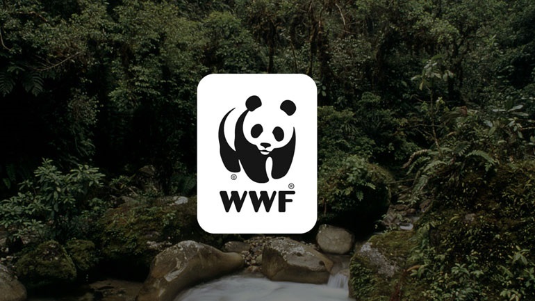 WWF: «Είμαστε η τελευταία γενιά που έχει την ευκαιρία να σώσει τη φύση» WWF: «Είμαστε η τελευταία γενιά που έχει την ευκαιρία να σώσει τη φύση»