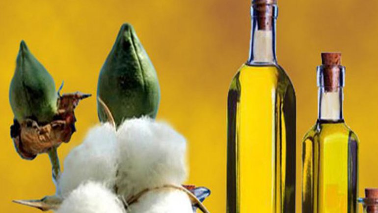 Μελέτη συνδέει το βαμβακέλαιο με εντυπωσιακή μείωση της χοληστερόλης