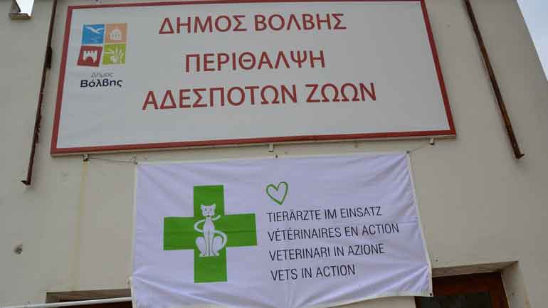 Πρόγραμμα περίθαλψης αδέσποτων ζώων στον Δήμο Βόλβης