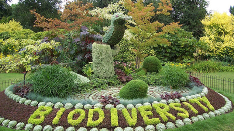 ΟΗΕ: Η απώλεια της βιοποικιλότητας «σιωπηλός δολοφόνος»