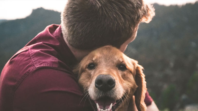 Με ποιον τρόπο τα κατοικίδια μας βοηθούν ψυχολογικά