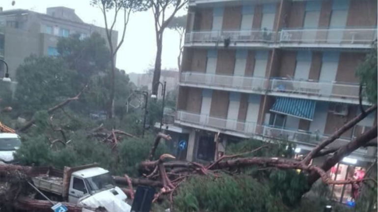 Ιταλία: Στους 17 οι νεκροί από την κακοκαιρία, ξεριζώθηκαν εκατομμύρια δέντρα