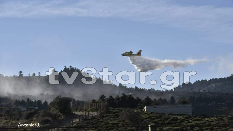 Υπό έλεγχο η πυρκαγιά στη Σέτα Ευβοίας