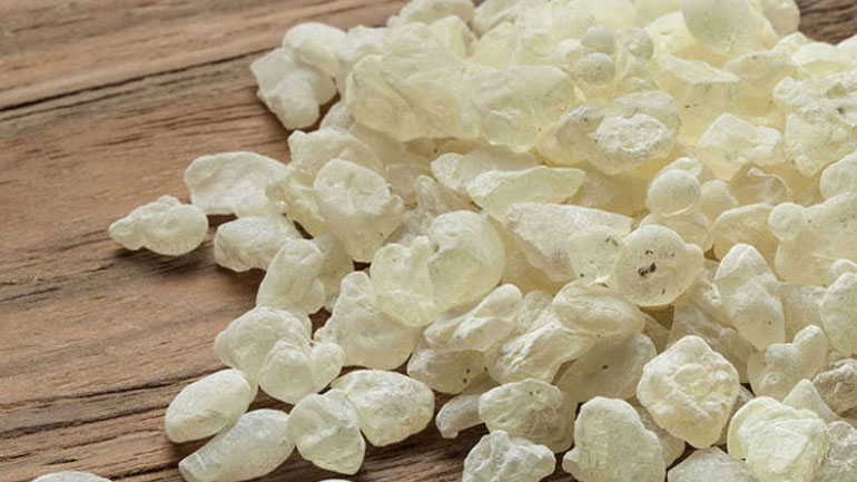 Η μαστίχα Χίου κάνει καλό και στην οστεοπόρωση