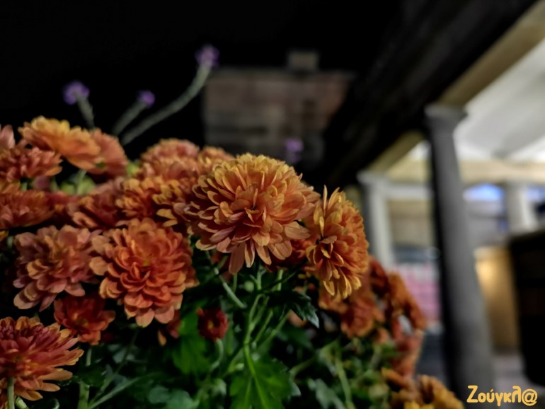 Δείγμα 8 (Πατήστε επάνω στη φωτογραφία)