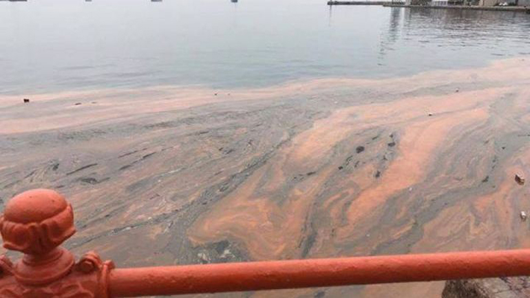 Θεσσαλονίκη: Ρύπανση και λιπάσματα ευθύνονται για την «κόκκινη παλίρροια» στον Θερμαϊκό