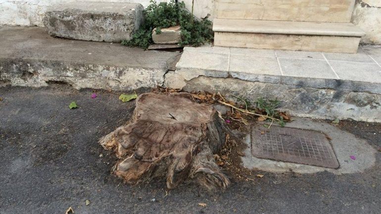 Κρήτη: Παγίδα για τους διερχόμενους οι κομμένοι κορμοί