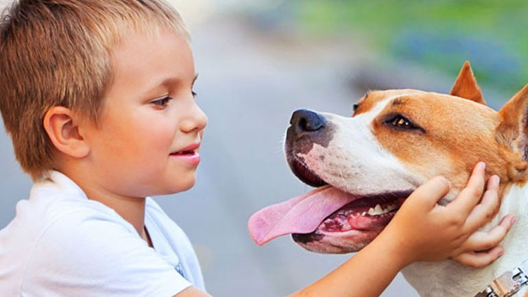 Ο σκύλος στο σπίτι μειώνει τον κίνδυνο άσθματος στα παιδιά