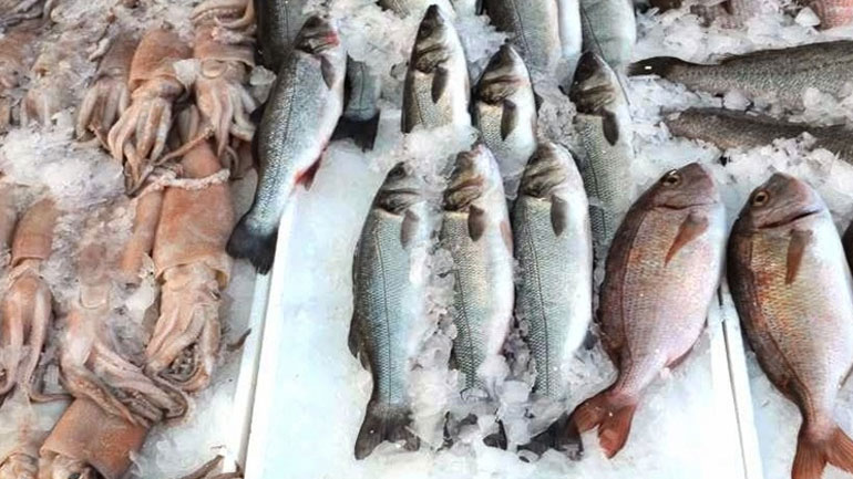 Κατασχέθηκαν ακατάλληλα αλιεύματα στην ιχθυόσκαλα Κερατσινίου