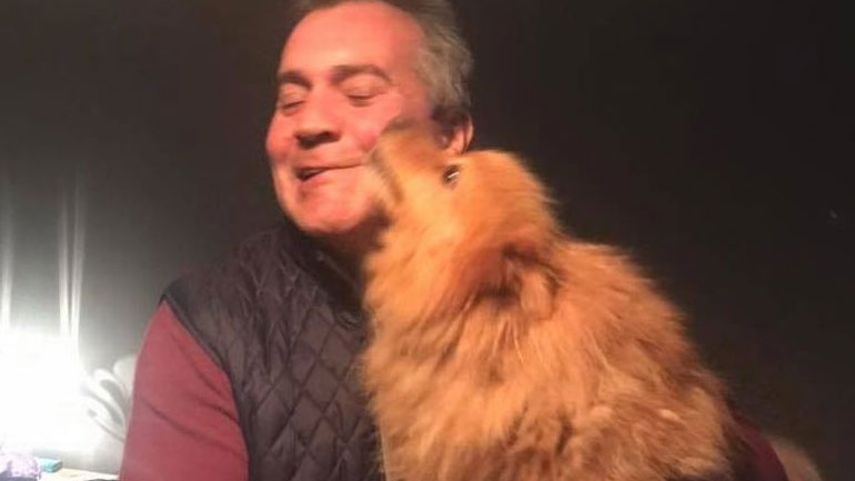 Σκυλίτσα 11 ετών βρέθηκε σώα έπειτα από έναν χρόνο περιπλάνησης!