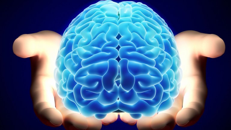 Νέες ιδέες για τη γήρανση – Πρωτεΐνη προστατεύει τον εγκέφαλο από το περιφερειακό ανοσοποιητικό σύστημα