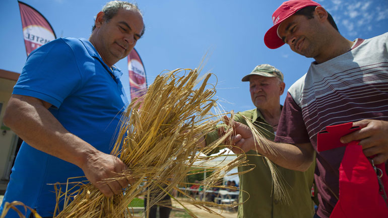 Αθηναϊκή Ζυθοποιία: Εδώ και μια δεκαετία στηρίζει το ελληνικό κριθάρι