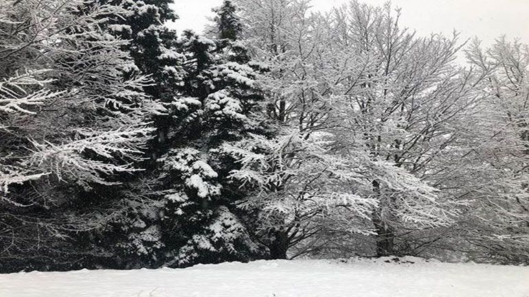 Στα λευκά τα ορεινά χωριά της Φθιώτιδας